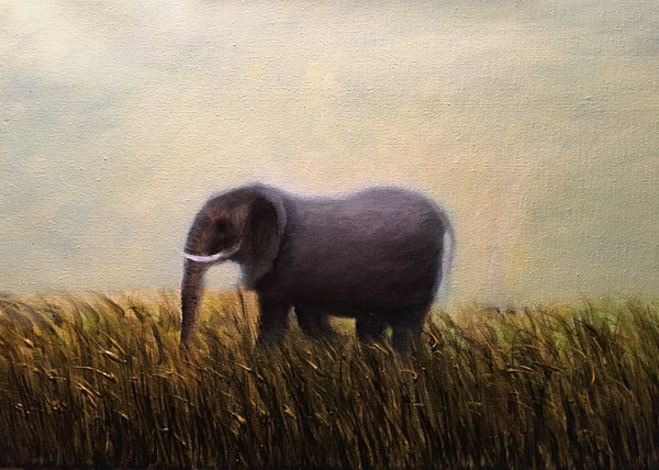 African Afternoon
